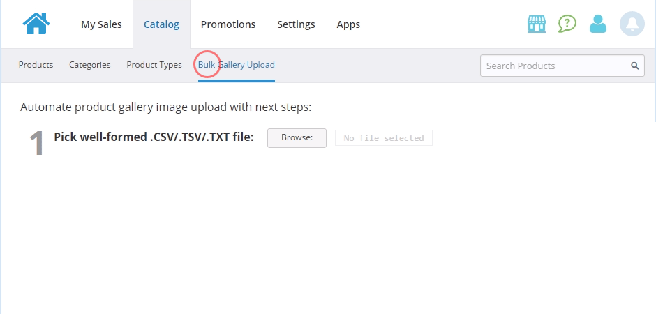 Bulk Gallery Upload App for Store: App tab on Dashboard